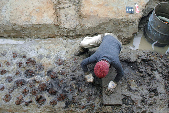 Offene Grabung in Eschenz