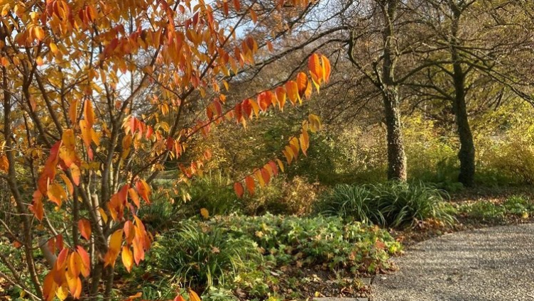 Der Zentralfriedhof – Ort der Ruhe und des Lebens