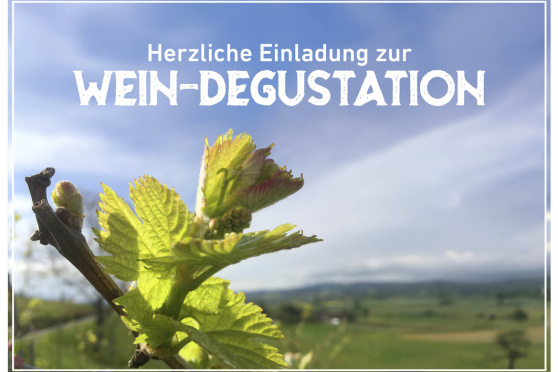 Einladung zur Weindegustation mit gemütlichem Beizli