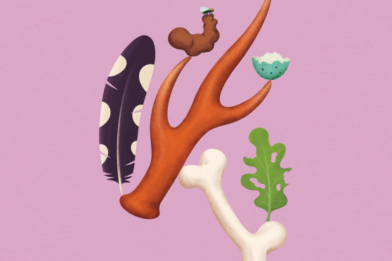 Sonderausstellung: Spuren – Fährten, Frass und Federn