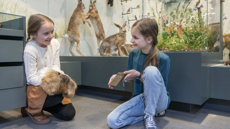 Jugendlabor - Spuren im Tierreich: Fährten, Frass und Federn