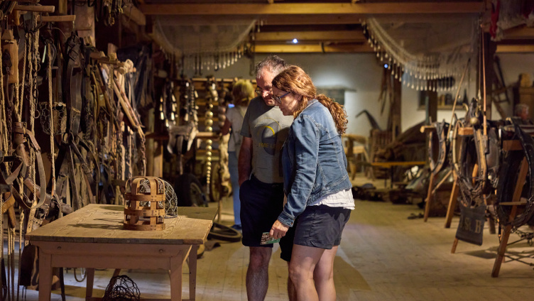 Museumsnacht im Schaudepot St. Katharinental