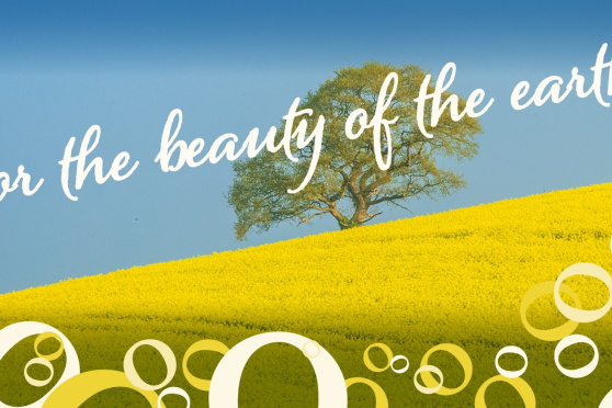 The Beauty of Earth - Konzerte