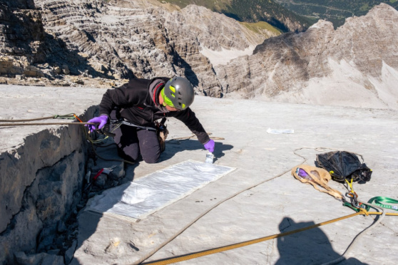 Gipfelstürmende Dinosaurier! – Spuren von Dinosauriern im Hochgebirge