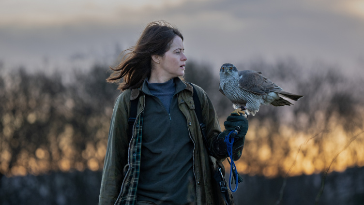 H Is for Hawk