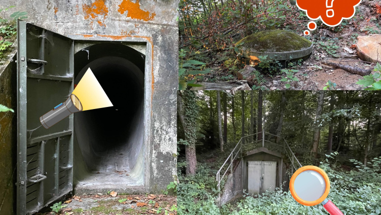 Psst – geheim! Auf Bunkersuche im Wald