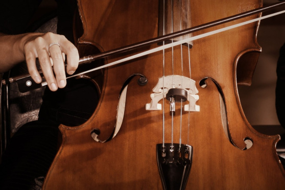 Schnupperkurs – Celloensemble