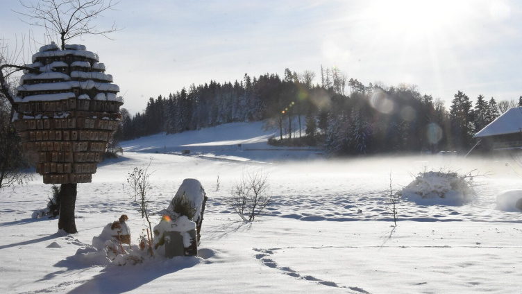Wir pflanzen einen Wald der Zukunft