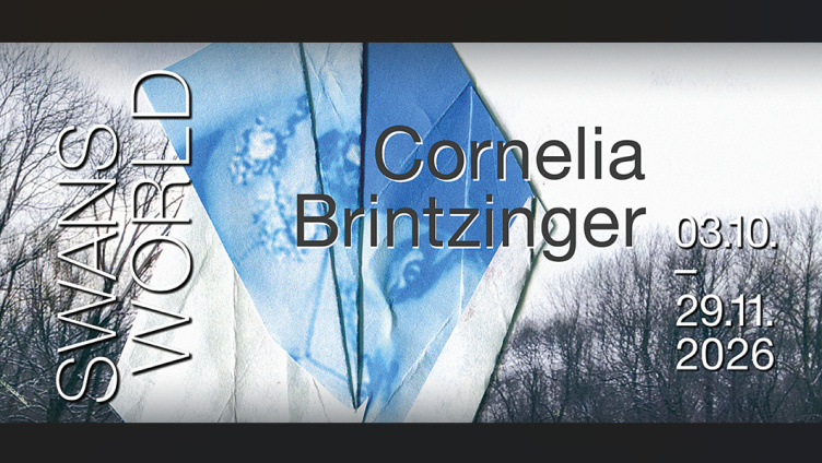 SWANS WORLD - Cornelia Brintzinger