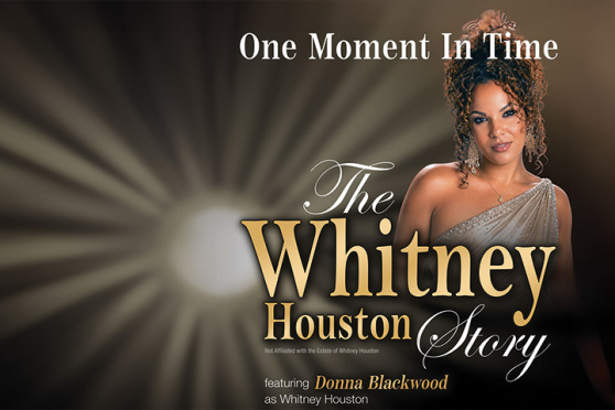 The Whitney Houston Story - One Moment in Time
