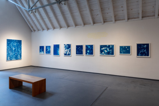 Frauen-Kunst-Club - Was der Augenblick bewahrt