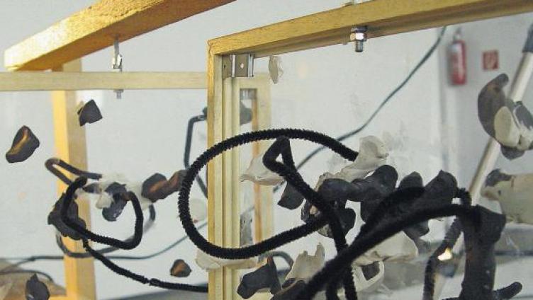 «Kunst muss dich packen»