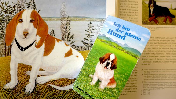 Auf den Hund gekommen