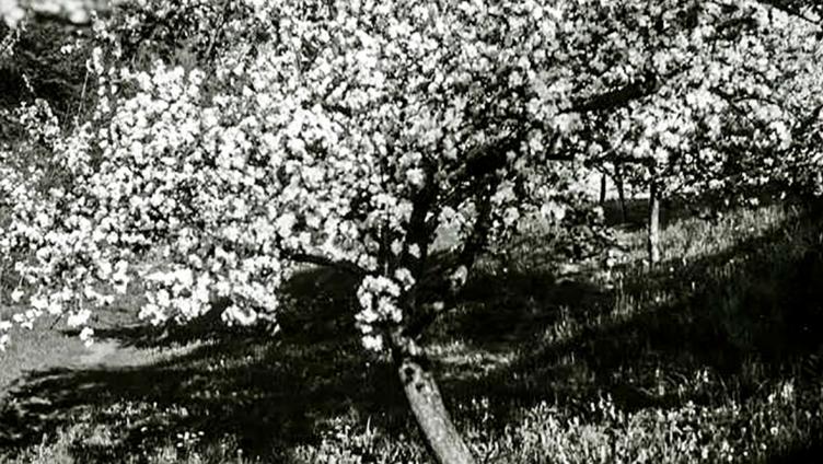 Geothermik einmal anders