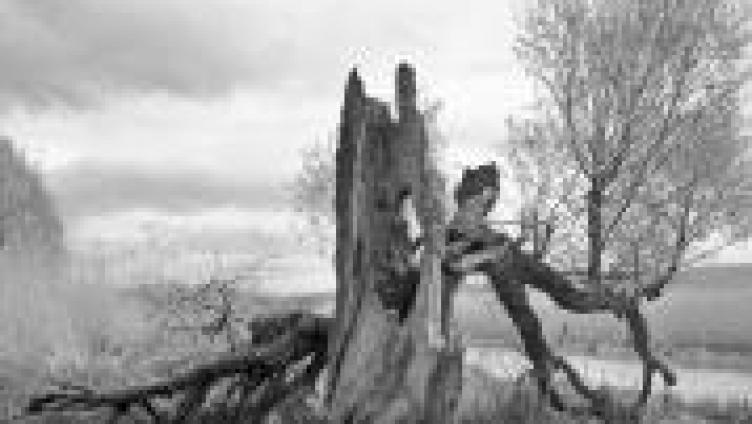 Die Stille, die Melancholie