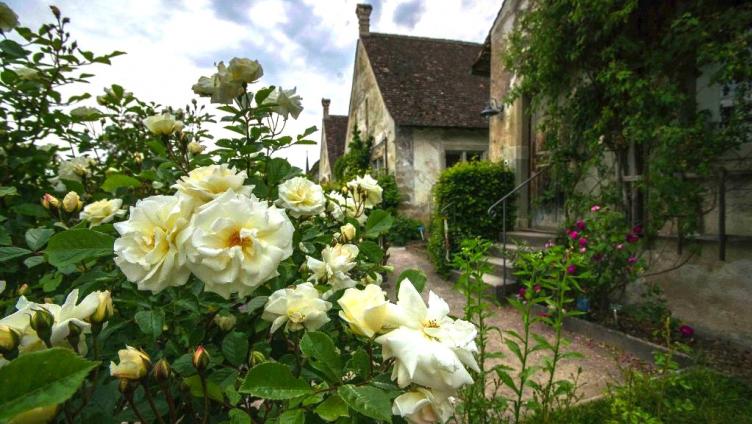 Monika Knills liebste Kunst