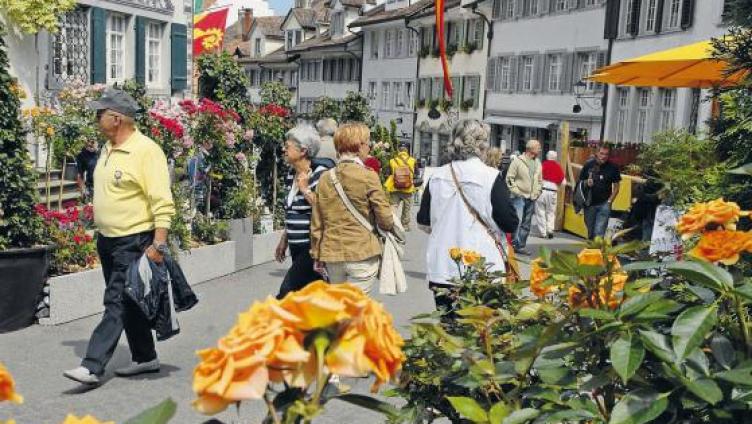 Hier werden Rosen zum Erlebnis