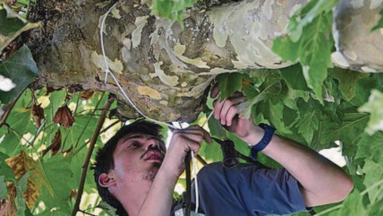 «Noch nie solches Wetterglück»