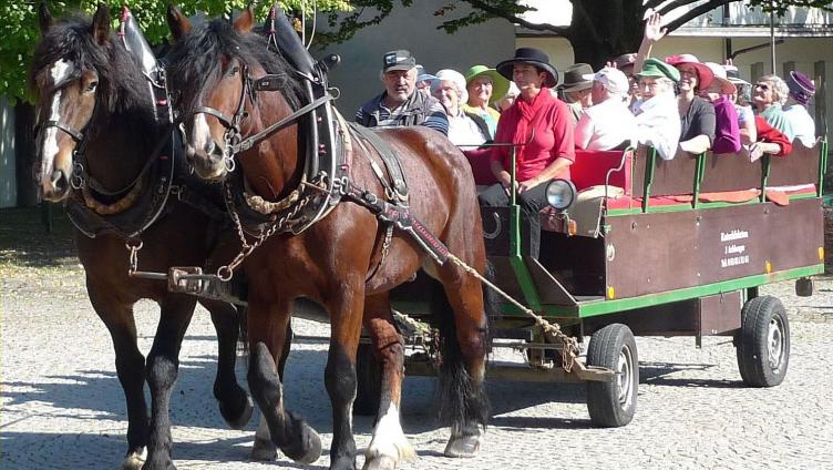 IBK fördert Austauschprojekte