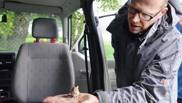 Säugetieren auf der Spur