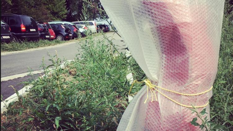 Verpackte Wahrheiten