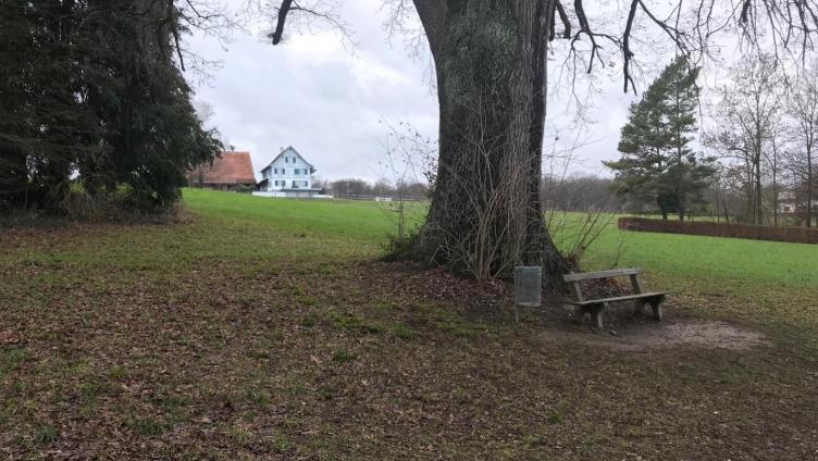 Ausschreibung: Kunst im ländlichen Raum