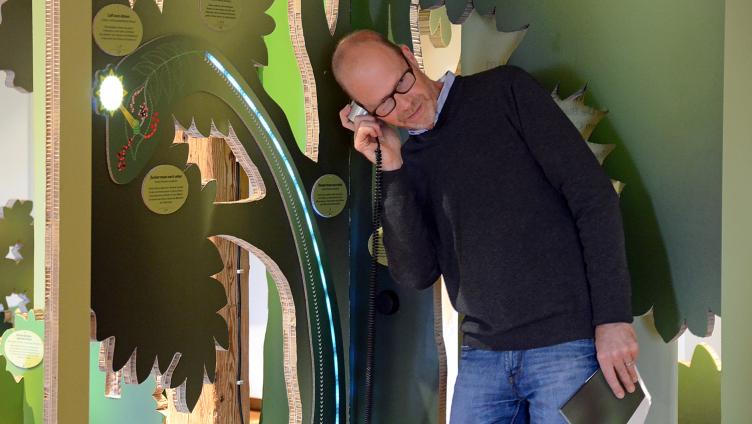 Die Entdeckung des Waldes