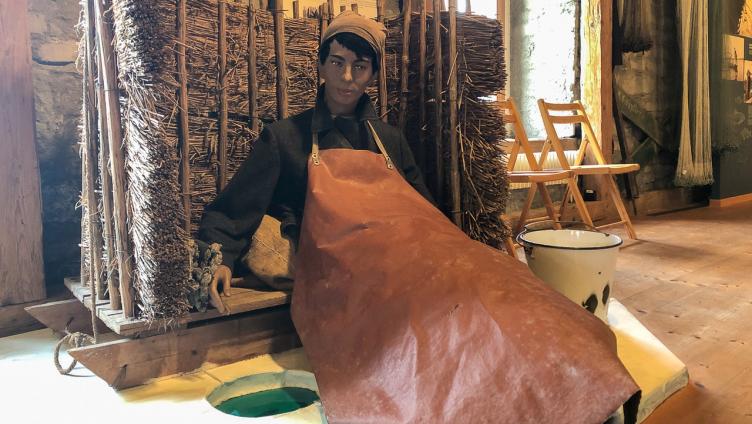 Der Bodensee als Arbeitsplatz und Nahrungslieferant