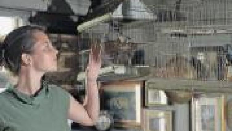 Allet, Dietrich und die Regierung