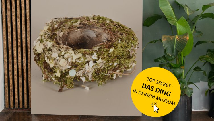 Frühlingserwachen oder Frühjahrsgebinde?