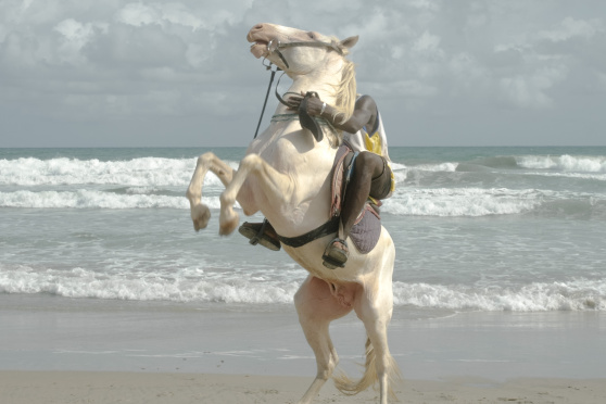 Wie zeigt man Staatenlosigkeit?