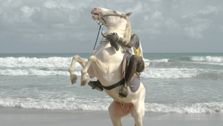 Wie zeigt man Staatenlosigkeit?