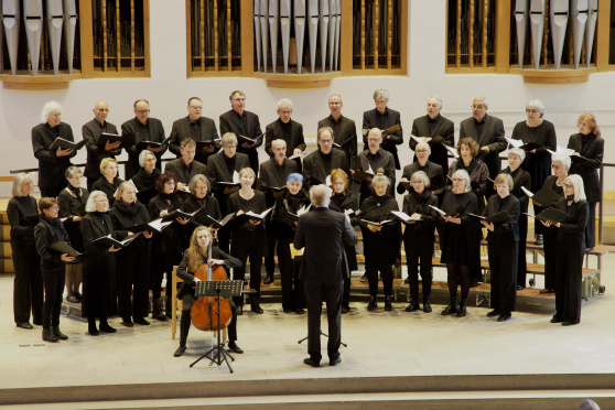 Stimmen der Anderswelt