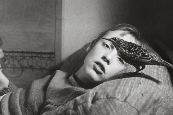 Gibt es einen weiblichen Blick?