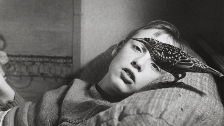 Gibt es einen weiblichen Blick?