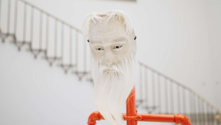 Die Sammlung neu gelesen