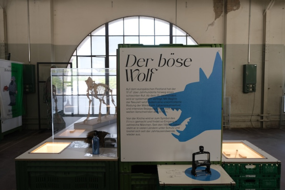 Wie der Wolf zu seinem schlechten Image kam