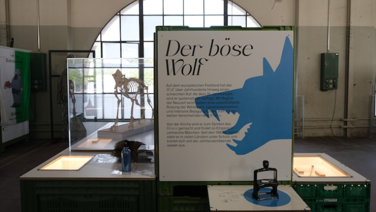 Wie der Wolf zu seinem schlechten Image kam