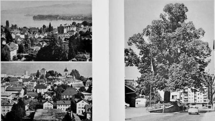 Spiegel einer Stadt in ihrer Blüte